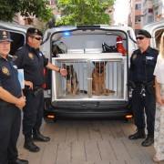 La Policia Local adquireix una nova furgoneta per a la Unitat Canina 