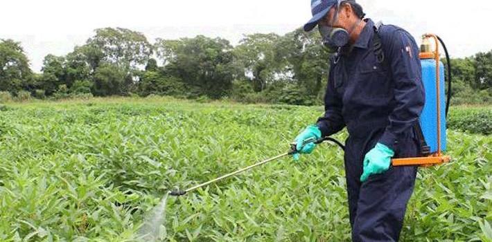 Vila-real activa un nou taller d’ocupació per a donar una oportunitat a 36 persones