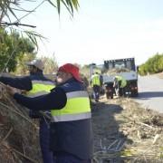 Dues brigades especials desbrossen i netejen solars, cunetes i barrancs dins del pla Vila-real+neta