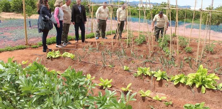 L’alumnat del taller d’Ocupació d’atenció sociosanitària i agricultura inicia les pràctiques