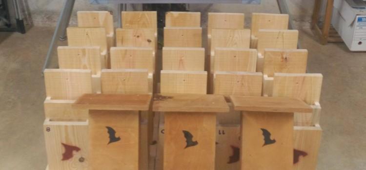 Les VII Jornades de la Desembocadura el Millars ensenyaran a construir refugis per a rates penades