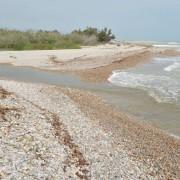 La gota freda trenca la barrera de pedres que separa el Millars del Mediterrani després de més d’un any tancada