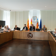 La Mesa de Persones amb Capacitats Diferents valora les activitats formatives, de sensibilització i d’inserció laboral realitzades 