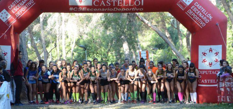 800 participants en la XXII edició del Cross Mare de Déu de Gràcia de Vila-real