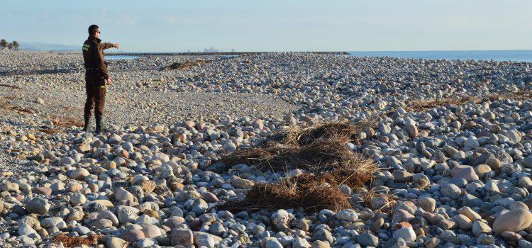 ‘Gloria’ deixa a la desembocadura del Millars dues illes d’arena i pedres i la desaparició de tres llacunes interiors