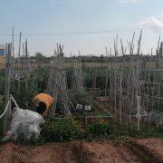 Alarmes al món rural de Vila-real per construccions il·legals en finques agrícoles