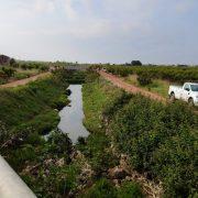 Vila-real reforça els seus tractaments per combatre les plagues de mosquito després de les últimes pluges