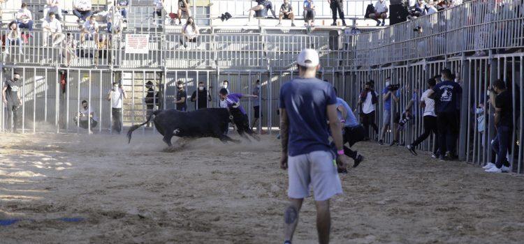 Aforament complet en la represa dels bous al carrer en temps de la Covid-19