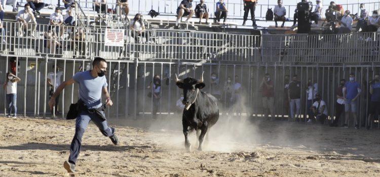 Compromís exigeix saber quant costarà a l’Ajuntament la jornada taurina del 9 d’octubre 
