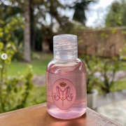 Les Rosarieres venen gel hidroalcohòlic per a finançar la restauració d’Imatge i Guió