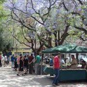 Vila-real suspén el mercat d’antiguitats durant dos diumenges per millorar la seva organització