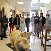 L’exposició itinerant dels dinosaures de Els Ports aterra als centres educatius de Vila-real