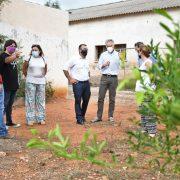 Vila-real obri l’Oficina Municipal de Lluita contra el Cotonet de Sud-àfrica 