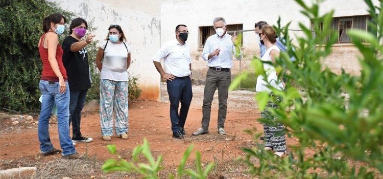 Vila-real obri l’Oficina Municipal de Lluita contra el Cotonet de Sud-àfrica 