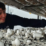 La Fundació Manantial rep 47.000 euros de la Generalitat per al seu projecte d’ocupació