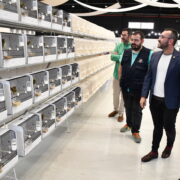 Vila-real acull el XVIII Campionat d’Ornitologia de la Comunitat