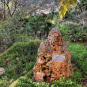 Coneix el passeig de la senda botànica Calduch junt al Millars este cap de setmana