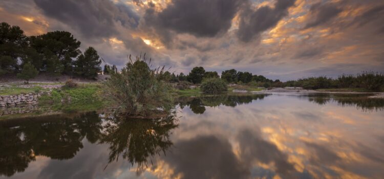 El Termet acull les VIII Jornades del Paisatge Protegit de la Desembocadura del Millars