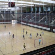 El PP critica el retard en les ajudes als clubs esportius de Vila-real