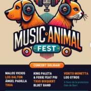 El Music Animal Fest arriba a Vila-real per a donar suport als gats sense llar