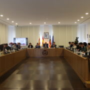 El Ple aprova la regeneració urbana de l’entorn de la Torre Motxa i la millora del camp de futbol de Flors