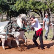 Vila-real acull el concurs de tir i arrossegament