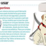 Viatges segurs: com protegir les nostres mascotes al cotxe