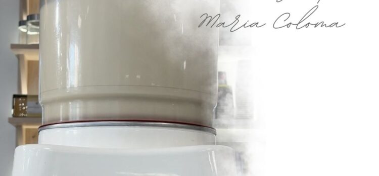 Els productes del mercat: l’orxata, una delícia per a l’estiu