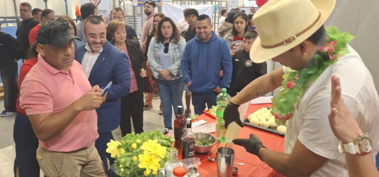 ACPERVIL debuta a Vila-real amb una jornada de cultura i convivència