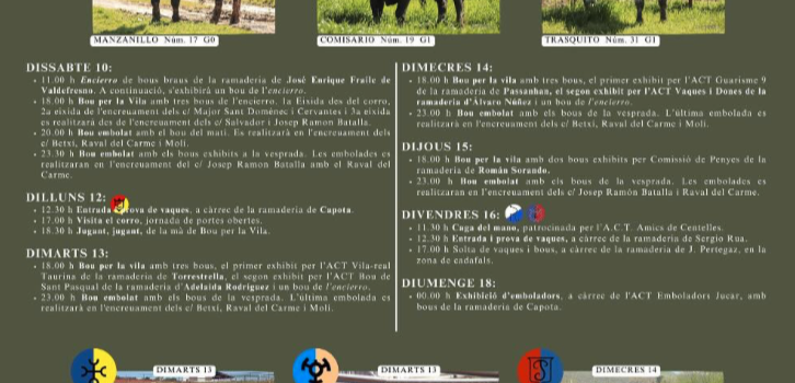 Els bous protagonitzen les Festes de Sant Pasqual del 10 al 18 de maig