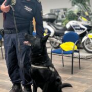 Vila-real reforça la seguretat i l’atenció davant emergències durant les festes de Sant Pasqual