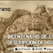 La UNED organitza un curs sobre l’Iguanodon en el 200é aniversari de la seua descripció
