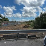 El cap de setmana arriba amb temperatures estivals i oratge estable