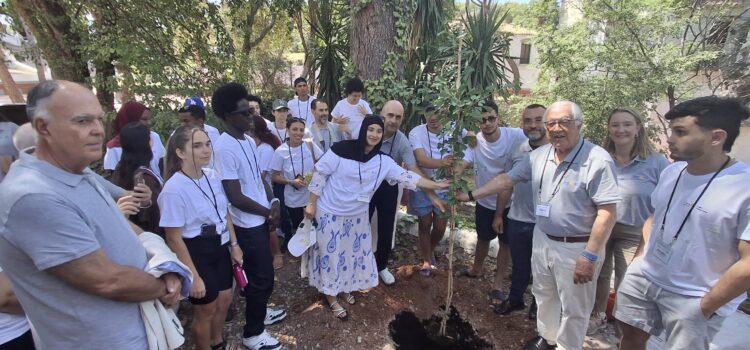 Vila-real planta un Ginkgo Biloba al Termet com a símbol mundial de la pau