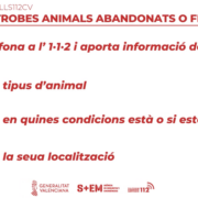 El servei 112CV ensenya com actuar davant animals abandonats o ferits