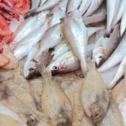 El Mercat Central acosta els sabors de l’estiu amb productes frescos i de proximitat