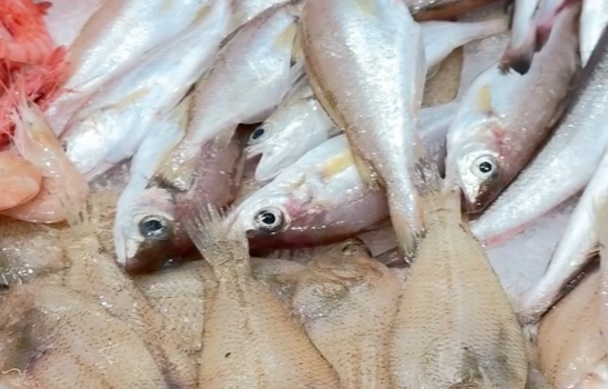 El Mercat Central acosta els sabors de l’estiu amb productes frescos i de proximitat