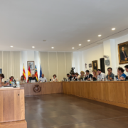 Vila-real aprova i debat la instal·lació de banys autolimpiables
