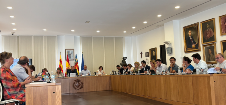 Vila-real aprova i debat la instal·lació de banys autolimpiables