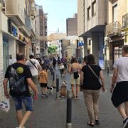 L’alcalde de Vila-real participa en la marxa solidària ‘Patitas en Acción’