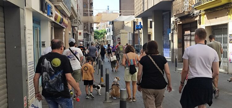 L’alcalde de Vila-real participa en la marxa solidària ‘Patitas en Acción’