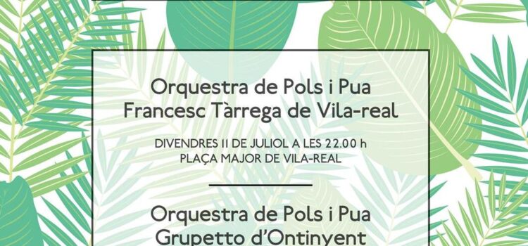 Torna “Plectre a la fresca” aquest juliol amb dues actuacions especials