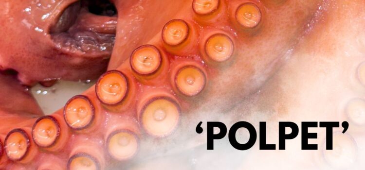 Polp de proximitat fresc i de qualitat al Mercat Central