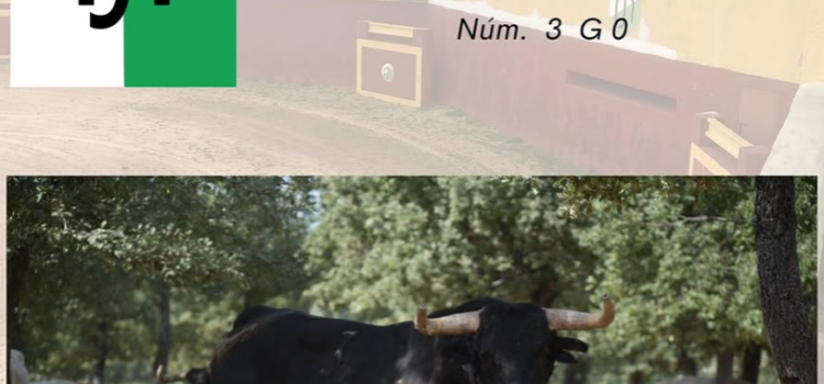 Dulcito, el primer bou anunciat per a les festes de la Mare de Déu de Gràcia 2025