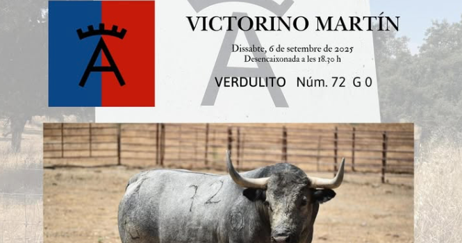 Un bou molt especial per a commemorar 650 anys d’història taurina