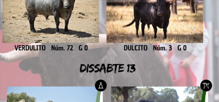 Vila-real presenta els quatre bous que protagonitzaran les festes de setembre