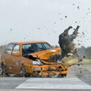 Com actuar davant un accident amb animals a la carretera per a evitar conseqüències greus
