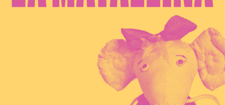 La rateta que vol ser mirada… i respectada arriba al Termet amb La Matallina