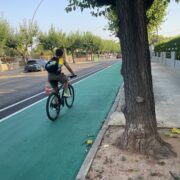 Vila-real posa ordre al carrer del Pinar per a protegir el Termet i millorar l’accés