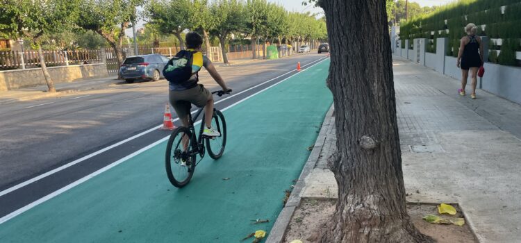 Vila-real posa ordre al carrer del Pinar per a protegir el Termet i millorar l’accés
